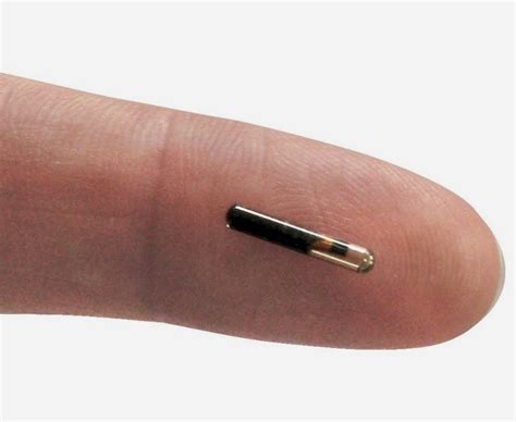 human rfid chips|Human Microchipping: An Unbiased Look at the Pros and Cons.